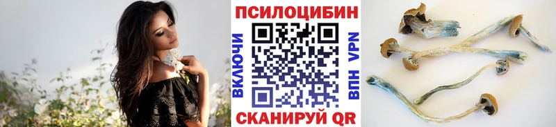 Галлюциногенные грибы MAGIC MUSHROOMS  Гатчина 