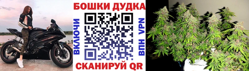 Марихуана конопля  Гатчина 